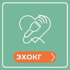 ЭХО-КГ